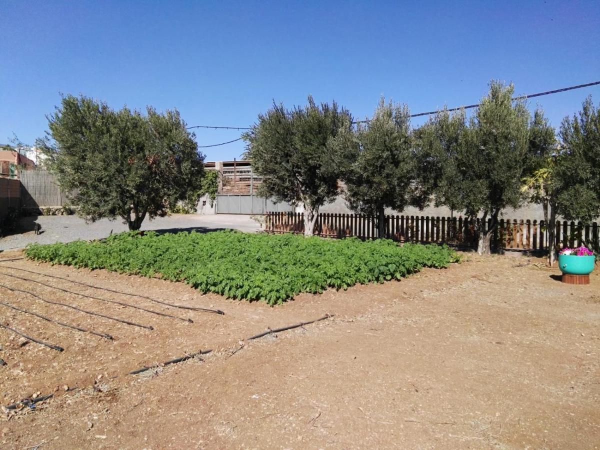 הוילה Agüimes La Casita Del Naranjo מראה חיצוני תמונה