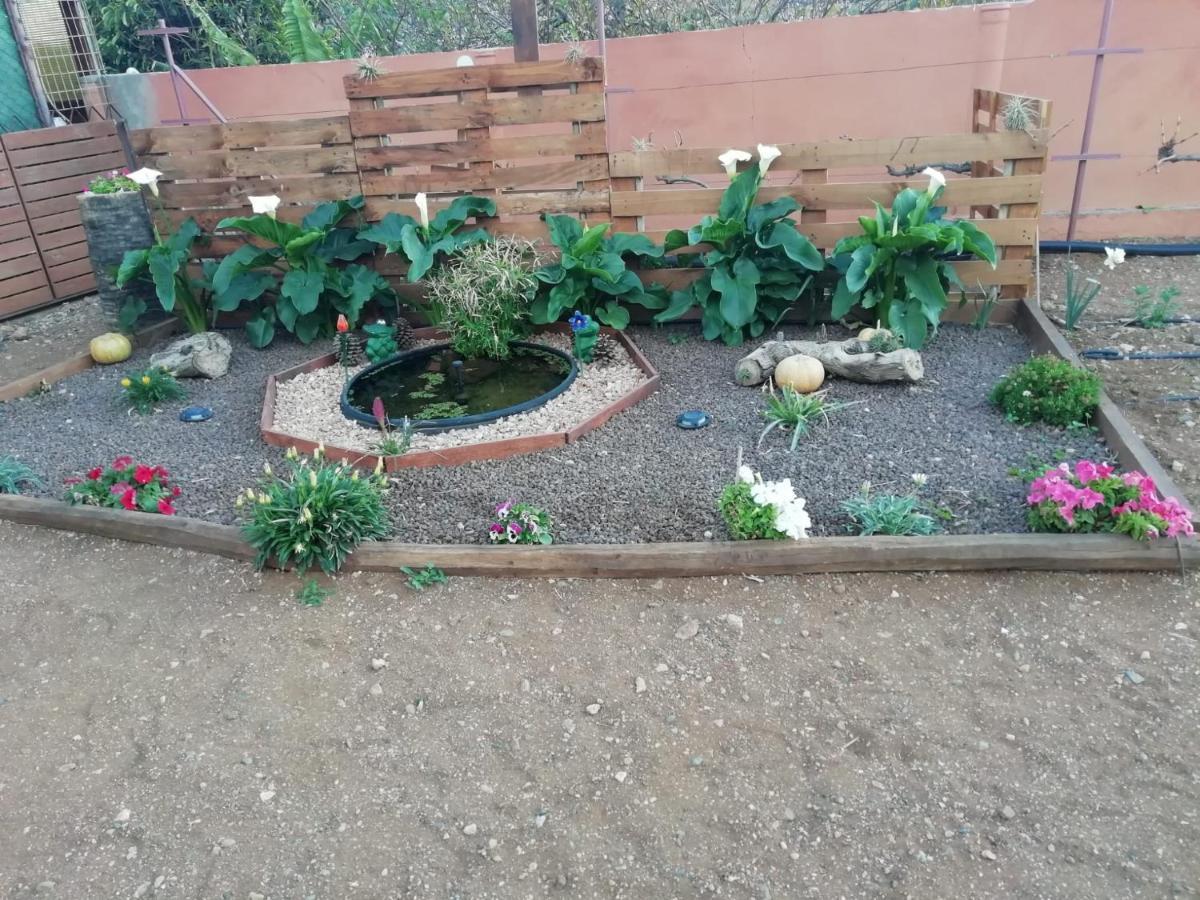 הוילה Agüimes La Casita Del Naranjo מראה חיצוני תמונה